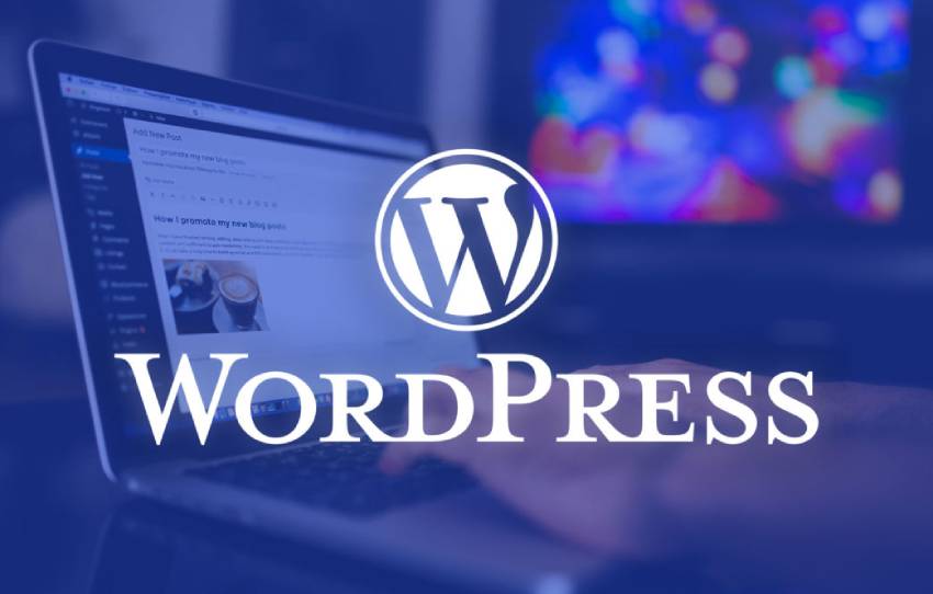 Future of WordPress Devloper