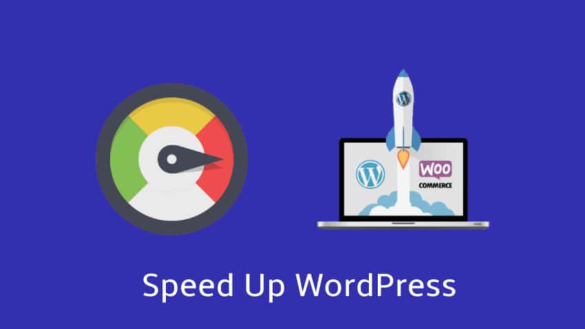 wordpress website developer india
